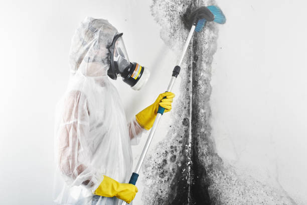 Best Indoor Air Quality Assessment  in Crownsville, MD