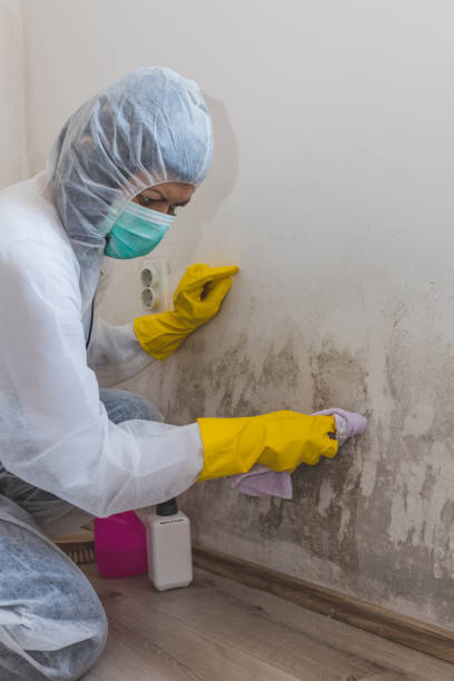 Best Post-Remediation Verification Testing  in Crownsville, MD