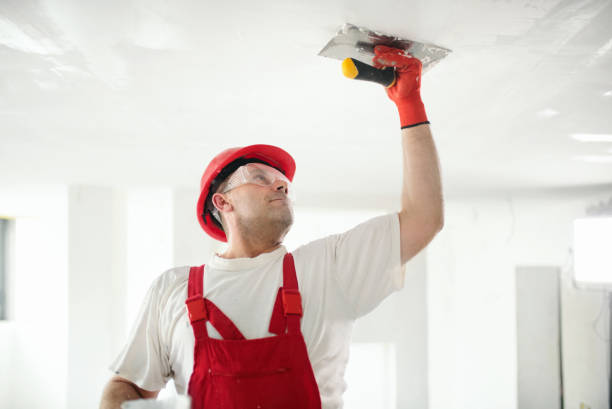 Best Post-Construction Mold Inspection  in Crownsville, MD